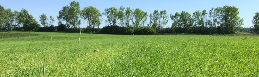 Biologisch dynamische Landwirtschaft