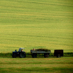 biologisch dynamische Landwirtschaft nach Demeter