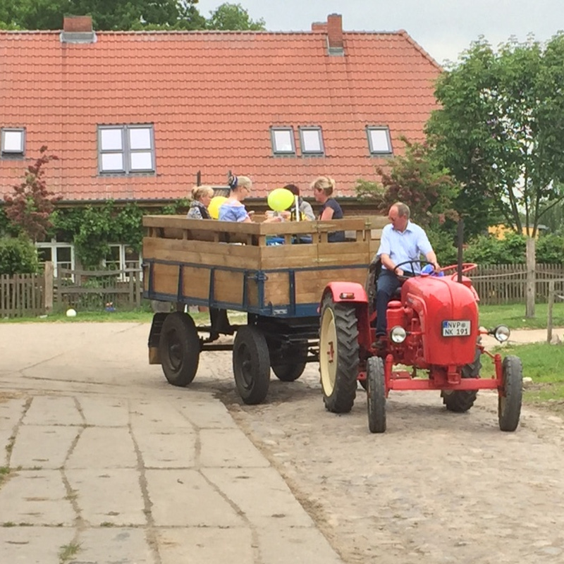 Alter Pfarrhof Elmenhorst - Gäste auf dem Hof